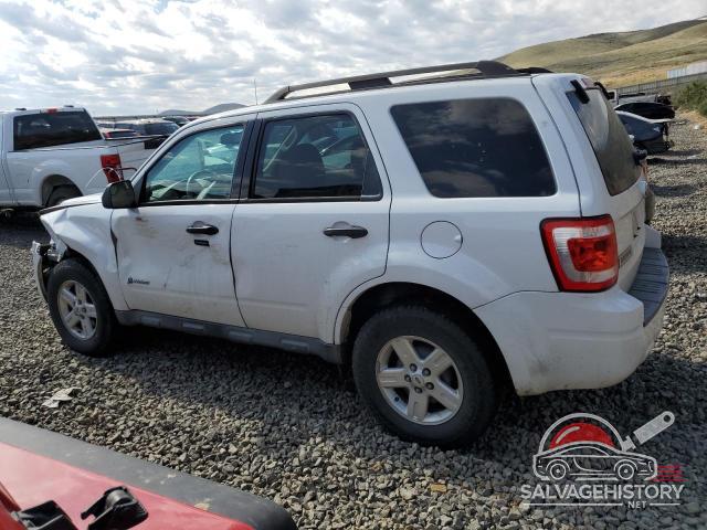 1FMCU5K36AKD22097 2010 FORD ESCAPE photo no. 2