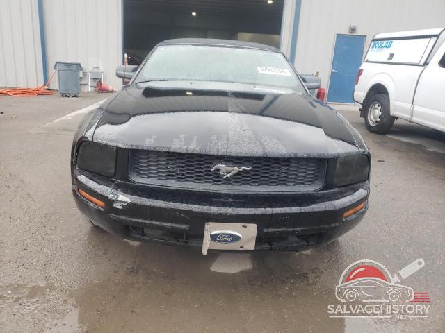 1ZVFT84N175254722 2007 FORD ALL Models photo no. 5