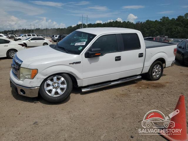 1FTFW1CF7DKG40392 2013 FORD F-150 photo no. 7