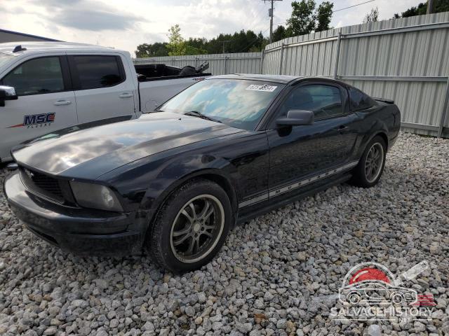 1ZVFT80N675358970 2007 FORD ALL Models photo no. 8