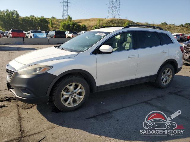 JM3TB3CA0D0403602 2013 MAZDA CX-9 photo no. 17