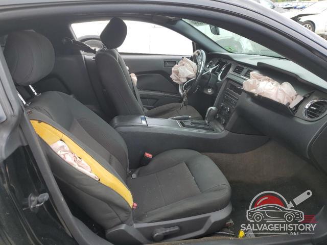 1ZVBP8AM1D5271143 2013 FORD ALL Models photo no. 7