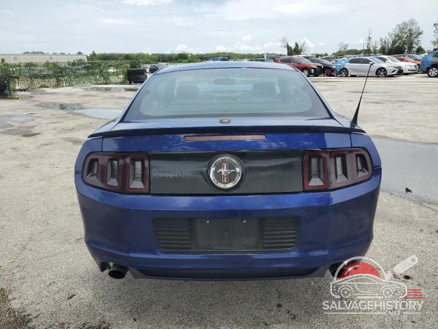 1ZVBP8AM6D5235691 2013 FORD ALL Models photo no. 6