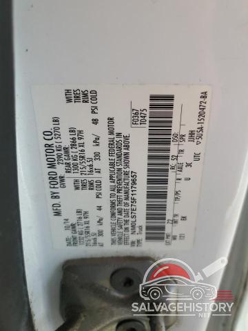 NM0LS7E75F1179657 2015 FORD TRANSIT photo no. 12