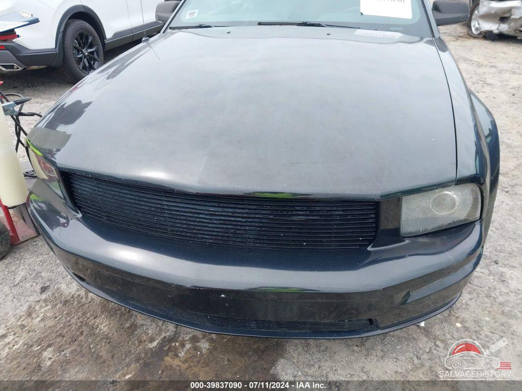 1ZVHT85H165106036 2006 FORD MUSTANG photo no. 6