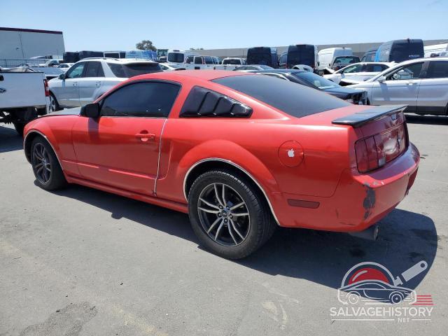 1ZVFT80N055185069 2005 FORD ALL Models photo no. 2