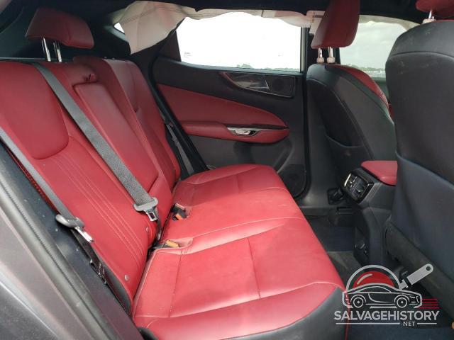 2T2ADCAZ2RC00629X 2024 LEXUS NX 250 BAS photo no. 10