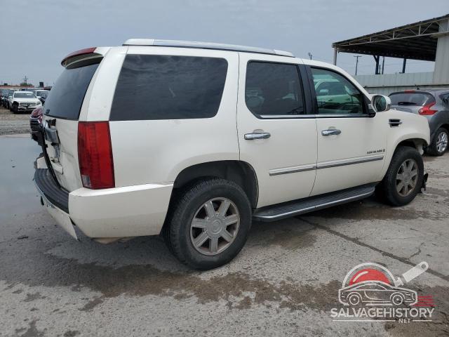 1GYFK63887R132447 2007 CADILLAC ESCALADE photo no. 3
