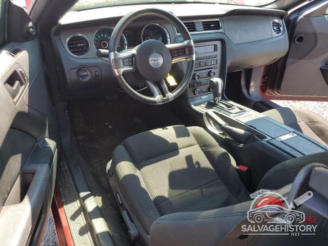 1ZVBP8AM3E5271386 2014 FORD ALL Models photo no. 8