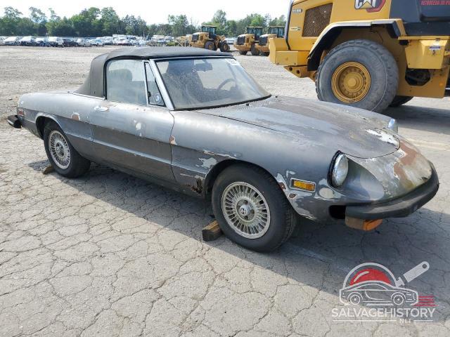 AR115410003429 1978 ALFA ROMEO SPIDER photo no. 4