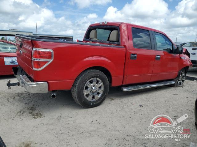 1FTEW1C83AFD49504 2010 FORD F-150 photo no. 3