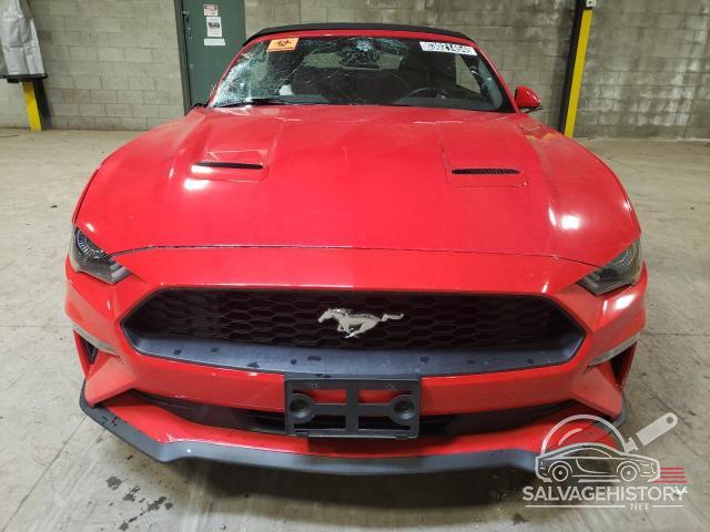 1FATP8UH2N5124388 2022 FORD ALL Models photo no. 5