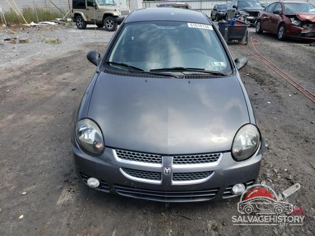 1B3ES56CX4D641820 2004 DODGE NEON photo no. 5