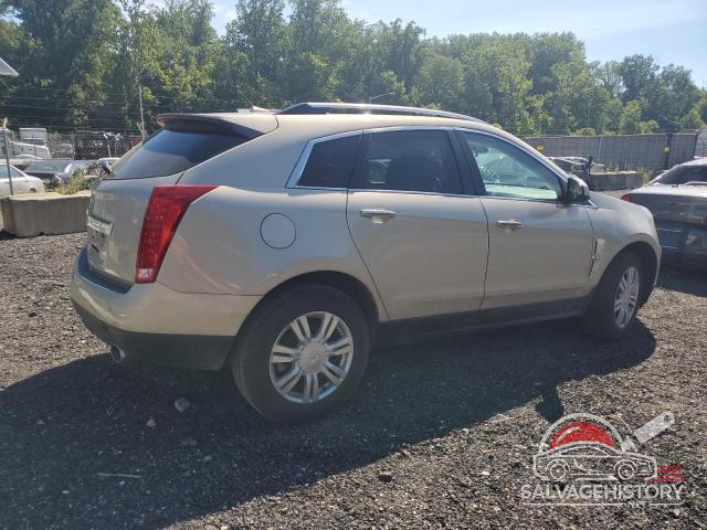 3GYFNAEYXAS579311 2010 CADILLAC SRX photo no. 3