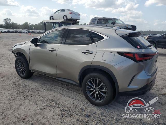 2T2ADCAZ2PC004666 2023 LEXUS NX 250 photo no. 2