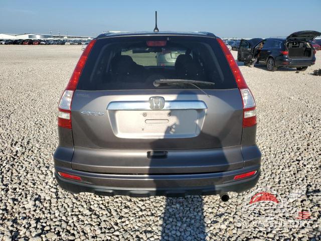 5J6RE3H59AL027086 2010 HONDA CRV photo no. 6