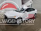 3FA6P0LU5DR237163 2013 FORD FUSION SE photo no. 2