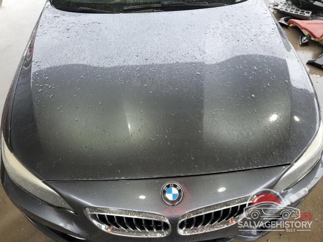 WBA2F9C31HV983929 2017 BMW 2 SERIES photo no. 11