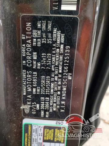 KNDME5C12G6125139 2016 KIA SEDONA photo no. 13