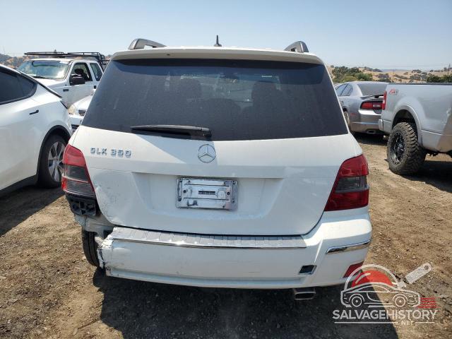 WDCGG5GB1AF417084 2010 MERCEDES-BENZ GLK-CLASS photo no. 6