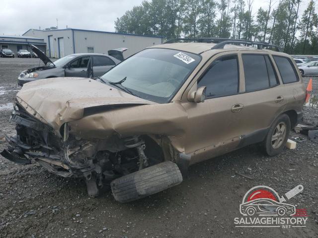 KM8SB12B54U645101 2004 HYUNDAI SANTA FE photo no. 10